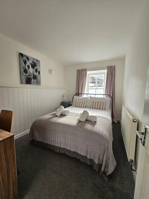 Beautiful And Bright !! Town/Harbour Apartment #1 Penzance Exteriör bild